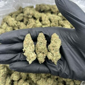 BLOW  POPZ 🎃⚡️(1pound)