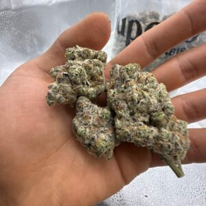 Blueberry 🫐(1pound)