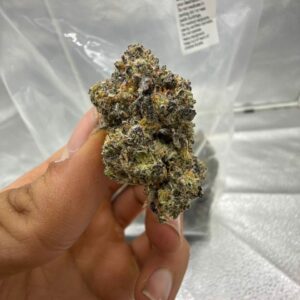 Gelato 33 (1pound)