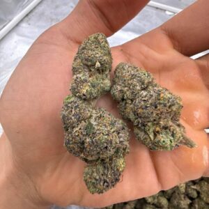 Permanent marker (1pound)