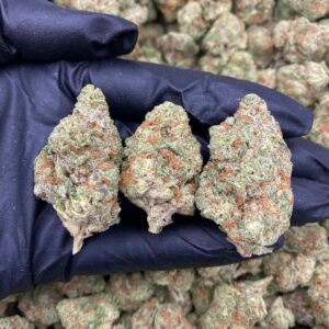 COTTON CANE 🍬🦯 (1pound)